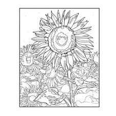 Vybarvování podle čísel: Příroda