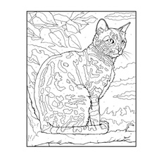 Vybarvování podle čísel: Příroda