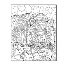 Vybarvování podle čísel: Příroda