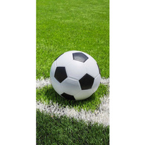 Fotbalová osuška - míč na trávě