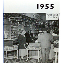 1955 - Co se stalo v roce, kdy jste se narodili