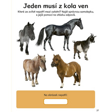 1000 samolepek – Koně