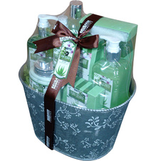 Dárková kazeta v květináči - Aloe Vera