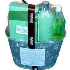 Dárková kazeta v květináči - Aloe Vera