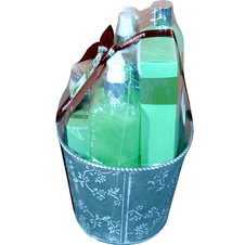 Dárková kazeta v květináči - Aloe Vera
