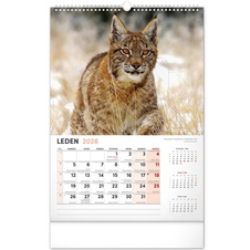 Kalendář 2026 nástěnný: Myslivecký 33 x 46 cm