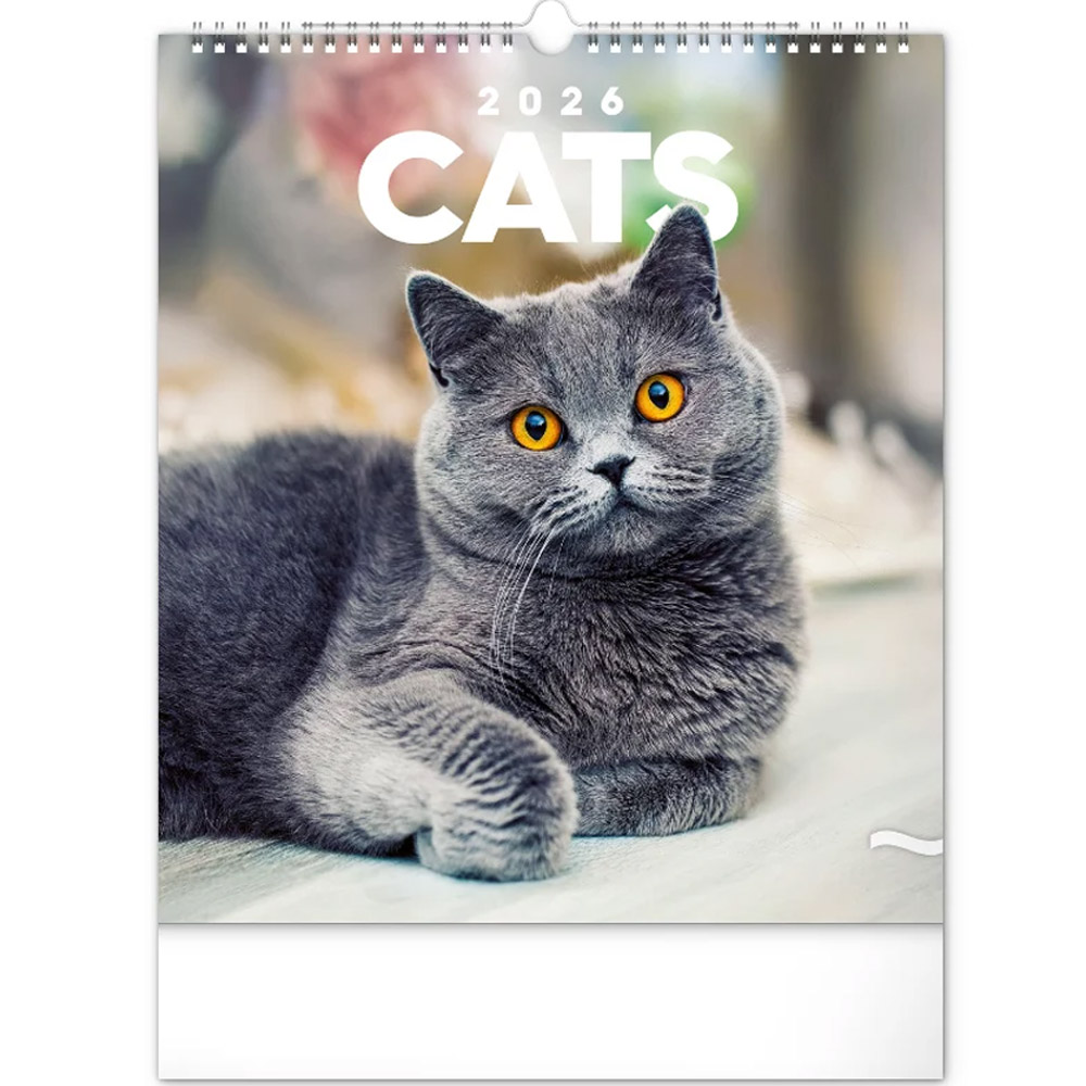 Kalendář 2026 nástěnný: Kočky 30 x 34 cm