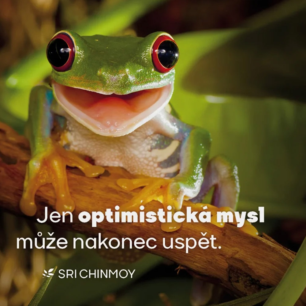 Korkový podtácek s citátem: Optimistická mysl