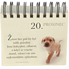365 dní s mým věrným psem - Citáty