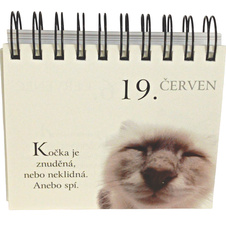 365 moudrostí o kočkách - Citáty na každý den