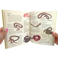 Dětská encyklopedie zvířat