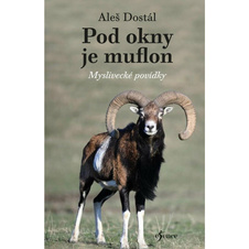 Pod okny je muflon