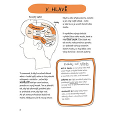 Kluci, neděste se puberty