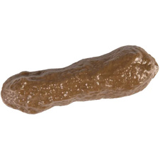 Falešné psí hovínko dlouhé