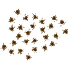 Falešné štěnice 24 ks