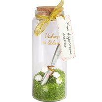 Vzkaz v láhvi - Pro báječnou sestru