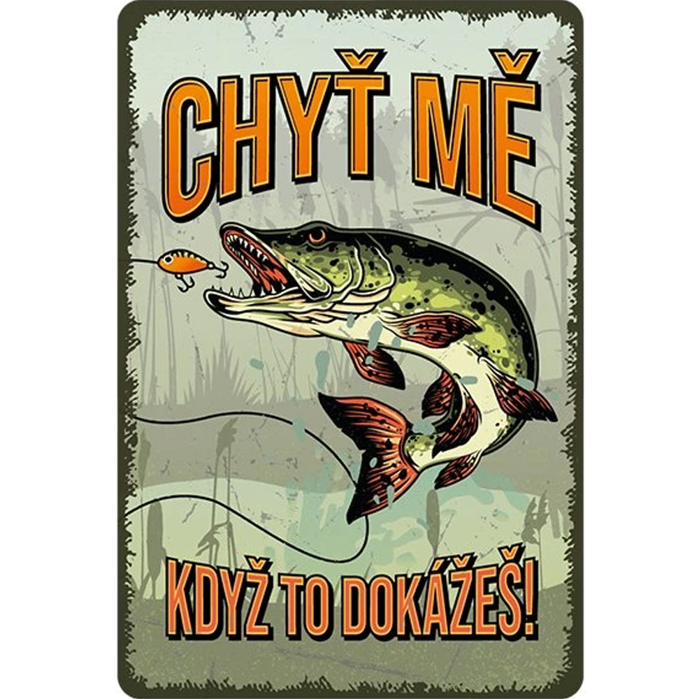 Plechová cedule Chyť mě, když to dokážeš