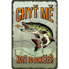 Plechová cedule Chyť mě, když to dokážeš