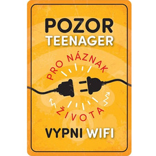 Plechová cedule Pozor teenager