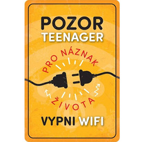 Plechová cedule Pozor teenager