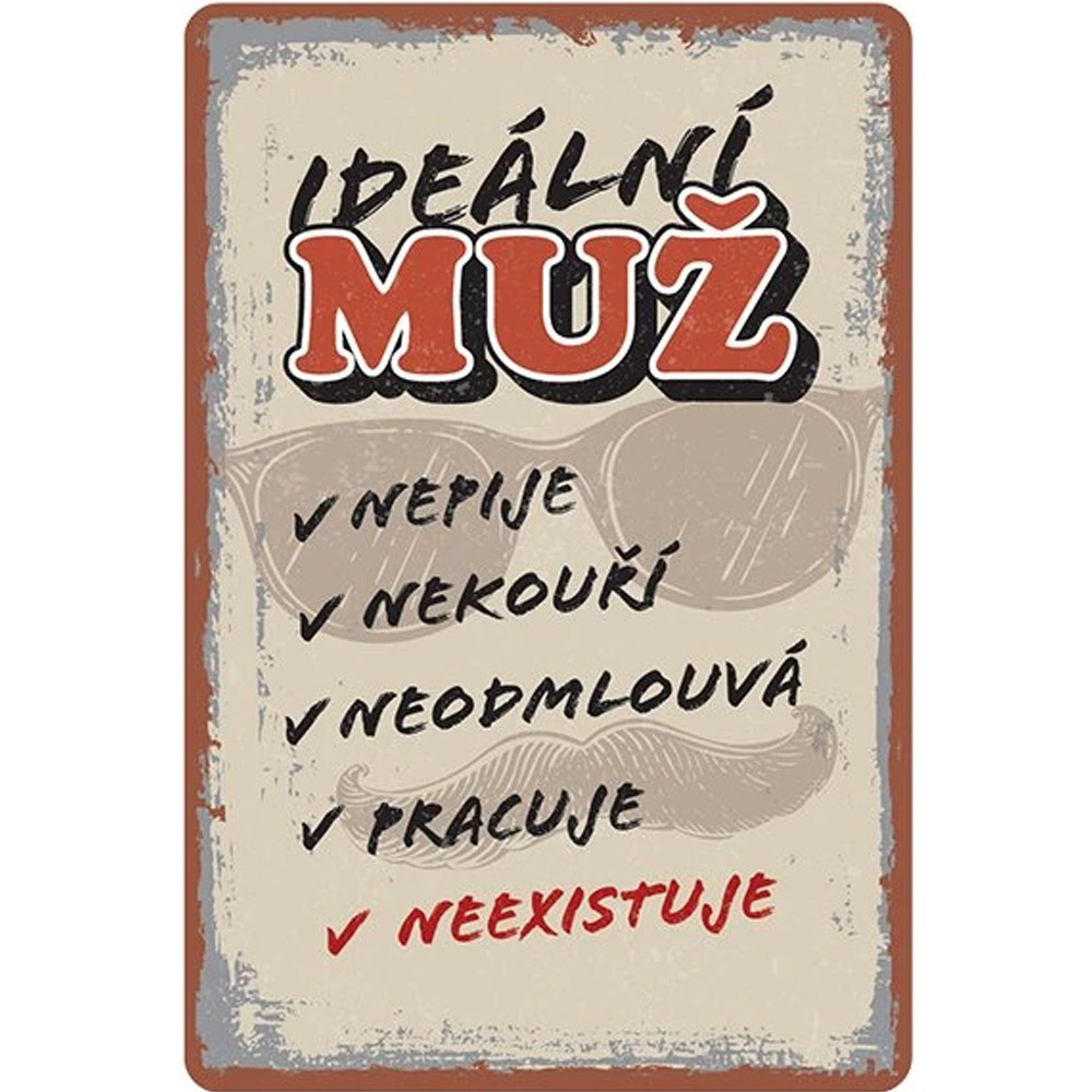 Plechová cedule Ideální muž