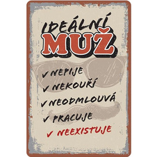 Plechová cedule Ideální muž