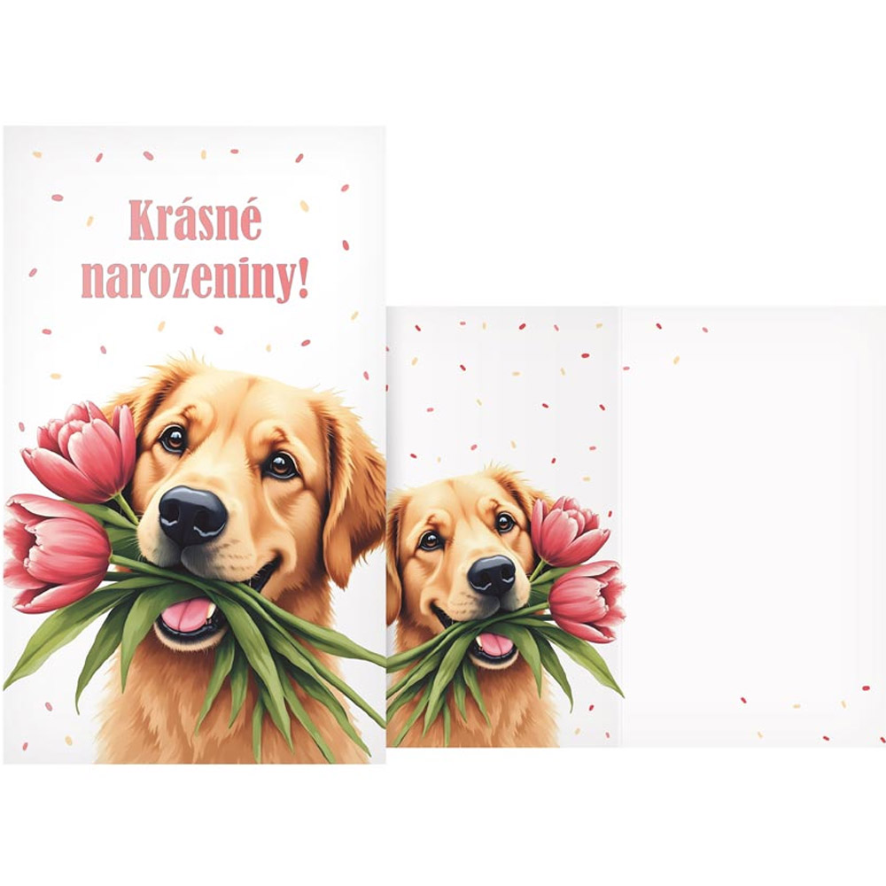 Přání se psem Krásné narozeniny