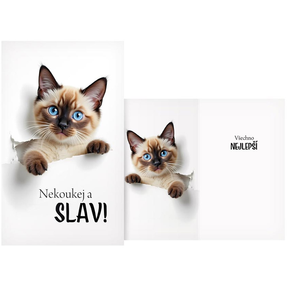 Přání s kočkou Nekoukej a slav