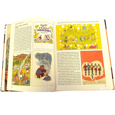 Naše zlatá šedesátá - Malý průvodce velkou dekádou