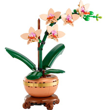 LEGO® Botanicals 10343 Miniaturní orchidej