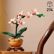 LEGO® Botanicals 10343 Miniaturní orchidej