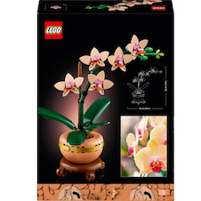 LEGO® Botanicals 10343 Miniaturní orchidej