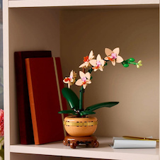 LEGO® Botanicals 10343 Miniaturní orchidej
