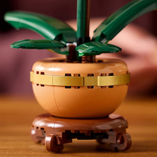 LEGO® Botanicals 10343 Miniaturní orchidej