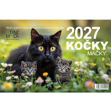 Stolní kalendář 2027 - Kočky