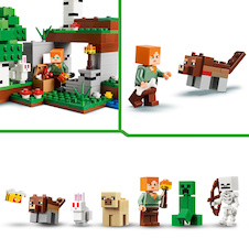 LEGO® Minecraft®  21593 První noční dobrodružství