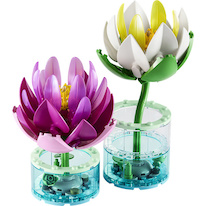 LEGO® Botanicals 11511 Lekníny