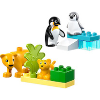 LEGO® DUPLO® 10442 Rodinky divokých zvířat: Tučňáci a lvi