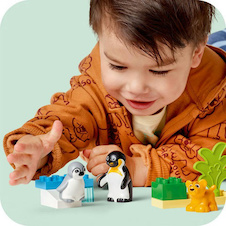 LEGO® DUPLO® 10442 Rodinky divokých zvířat: Tučňáci a lvi