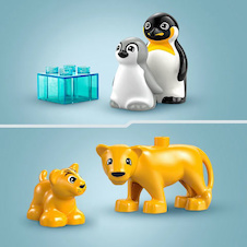 LEGO® DUPLO® 10442 Rodinky divokých zvířat: Tučňáci a lvi