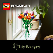 LEGO® Botanicals 11501 Kytice tulipánů