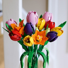 LEGO® Botanicals 11501 Kytice tulipánů
