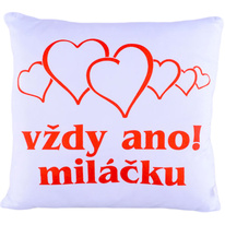 Polštářek - Vždy ano miláčku