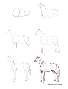 Nakresli 50 koní