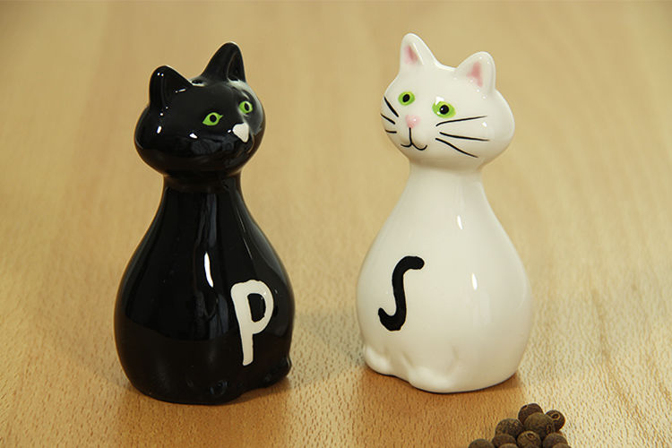 Slánka a pepřenka - Bílá a černá kočka