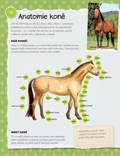 Miluju koně - Vše o jezdectví, péči a krmení