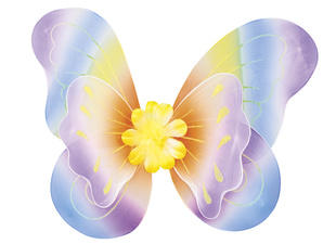 Motýlí křídla - duhová s květem